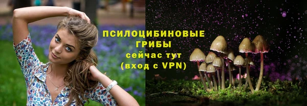 Альфа ПВП Белоозёрский